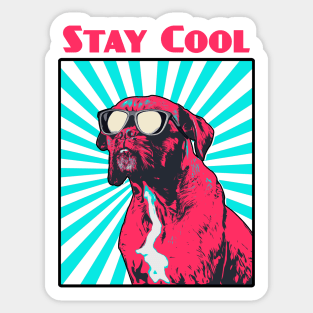 Boxer Dog Stay Cool Design Sticker